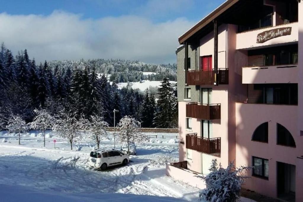 Appartement Montagne La Vallee Verte Coeur Station Hirmentaz Bellevaux Exteriér fotografie